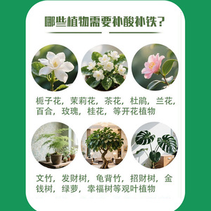 Supplément de fer et engrais régulateur d'acidité granulaire soluble dans l'eau pour plantes acharment de l'acide, telles que la gardénia et le jasmin - Product Image 1