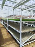 Étagères à semis sur roulettes personnalisées (5x10, 4x8, 3x8) avec poteaux d'éclairage LED pour serres agricoles et culture intérieure