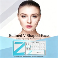 Kit Complet Masque 3D Effet Mummy pour Lifting Facial en V, Bandeau Professionnel Anti-Âge Raffermissant et Sculptant la Ligne du Menton, Vente en Gros