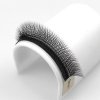 YY Premium – extension de cils naturels à lumière douce, fournitures de cils en trèfle W 3D 4D 5D W