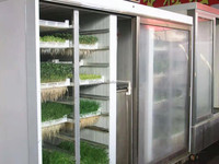 Mangeoire automatique pour animaux, herbe, bovins, moutons, germes de haricots, orge, plateau de culture, machine à fabriquer les germes de haricots mungo