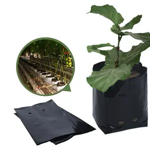 FXL Garden Plant Fruit Vegetable Flower Planter Plastic With Breathable Hole Seedling Pot Nursery Plant Grow Bags