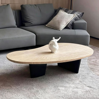 Table basse de salon minimaliste nordique de luxe léger