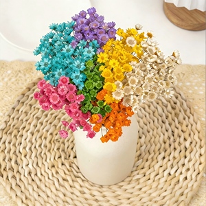 Mini Margherite Essiccate Brasiliane all'Ingrosso per Oggetti di Scena Fotografici, Decorazioni Nuziali e Creazioni in Resina - Fiori Selvatici Naturali - Product Image 1