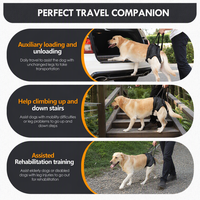 Harnais de soutien orthopédique pour chien, pour IVDD, arthrite, rééducation, élingue de levage pour animaux, escalier, voiture, en polyester de qualité médicale durable PETSGUARD
