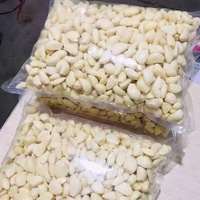 Gousses d'ail frais pelées de haute qualité en sachet sous vide et en sachet azoté – Approvisionnement en ail pelé provenant d'une usine professionnelle de production d'ail pelé
