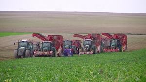 حصادة بنجر السكر الهيدروليكية الأوتوماتيكية، حصادة بنجر ثقيلة عالية الكفاءة، آلة حفر البنجر - Product Image 6