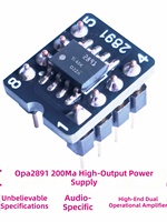 OPA2891 200mA Kelas-A Op-Amp Ganda Audiophile Arus Tinggi Lebih Unggul dari OPA828 1622 1612 dan MUSES02 Dari TI