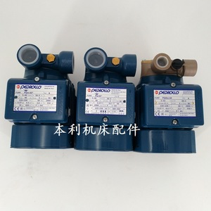 Pompe à eau Pedrollo PQm60 pour machine EDM en fonte grise - Product Image 1