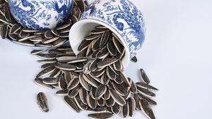 Récolte de graines de <span class=keywords><strong>tournesol</strong></span> de haute qualité à manger de Chine <span class=keywords><strong>Prix</strong></span> bon marché Graines de <span class=keywords><strong>tournesol</strong></span> de bonne qualité - Product Image 6