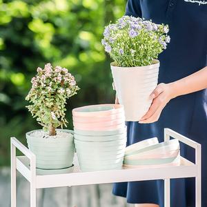 Maceta suculenta <span class=keywords><strong>de</strong></span> bonsái <span class=keywords><strong>de</strong></span> riego automático perezoso redondo <span class=keywords><strong>de</strong></span> plástico <span class=keywords><strong>de</strong></span> nuevo diseño - Product Image 3