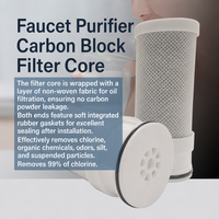 Filtre de remplacement en céramique et charbon actif fritté pour robinet de cuisine, filtre à eau manuel haute efficacité facile à utiliser