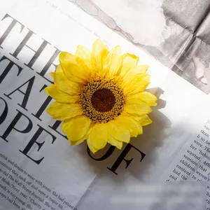 forever eternal sunflowers preserved sunflower preserved sunflowers with stalk