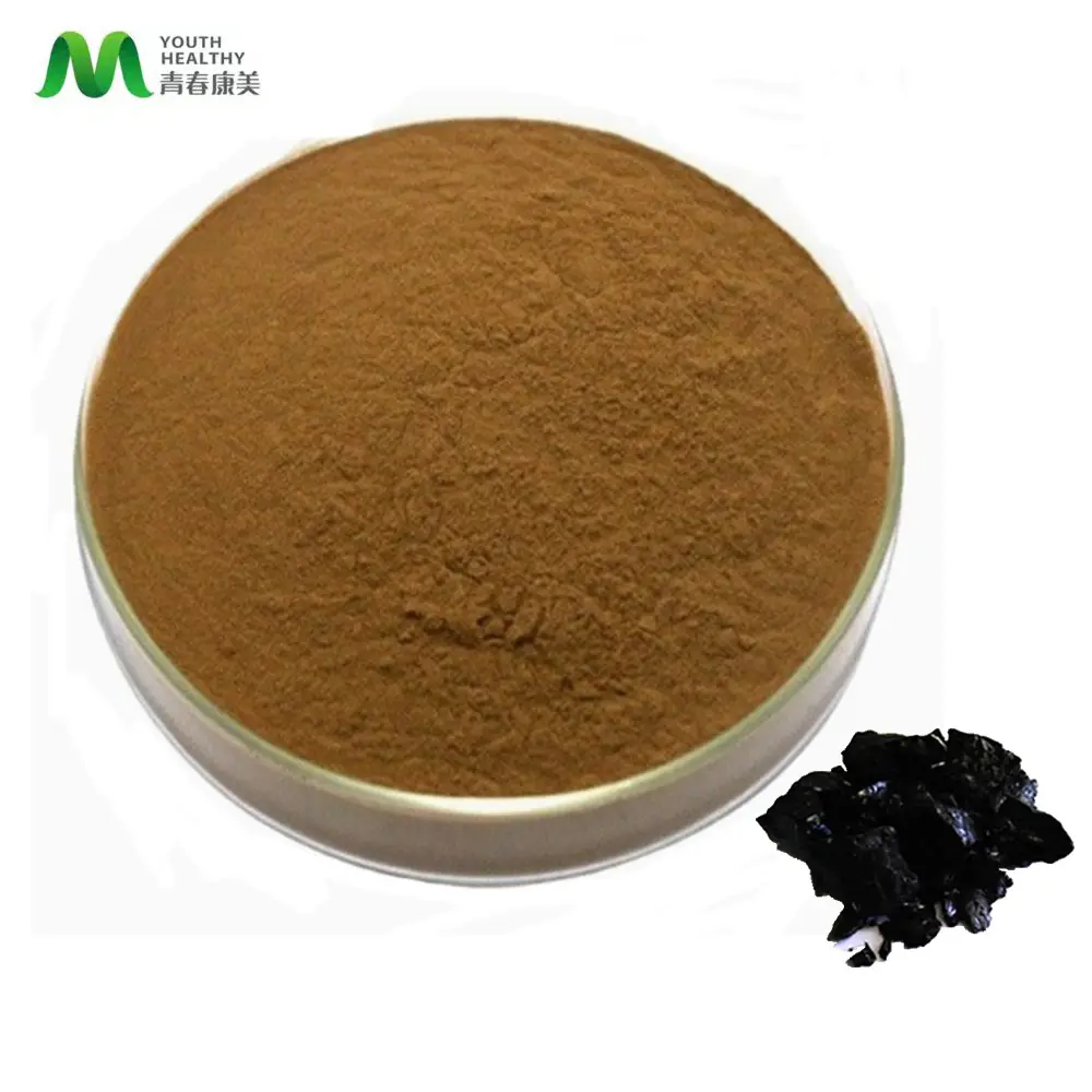 Quality Wholesale Natural Shilajit Extract Powder 20% Fulvic Acid Shilajit Powder Bulk