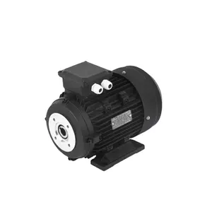 Hollow Shaft High pressure cleaning motor pump