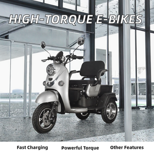 Bicicletas y Motocicletas Eléctricas de Alta Eficiencia de 48V al por Mayor Transfronterizo con Alto Torque y Carga Rápida - Product Image 2