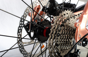 Bicicleta de montaña de aleación ecológica de seguridad VIVA KNIGHT de 10 velocidades de excelente calidad para adultos - Product Image 6