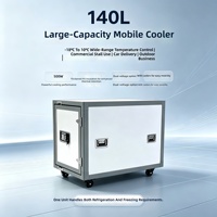 Équipement de congélation mobile commercial de petite taille avec capacité de 140 L, congélateur à grand conteneur, moteur double tension, panneau solaire
