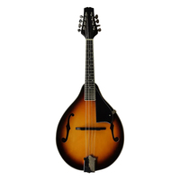 HUASHENG Factory Price a Style Mandolin Instrument Music Instruments String Instrument for Sale