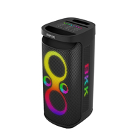 BKK Haut-parleur de fête professionnel Hifi étanche avec subwoofer Bluetooth 60W