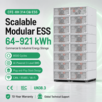 Sistem Penyimpanan Energi Modular Tegangan Tinggi LiFePO4 BESS 314Ah 8000 Siklus Paket Baterai Industri BMS Bertenaga AI 10 Tahun