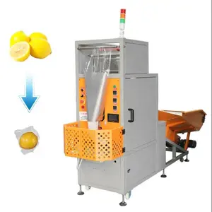 SJB Industrial Citrus Fruit Packing Machine Fruit Apple Packing Machine Single Lemon Orange Wrap Packaging Machine