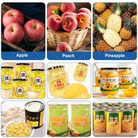 Complete ORME fruitconserven productielijn met was-, schil-, ontpitten- en snijmachine