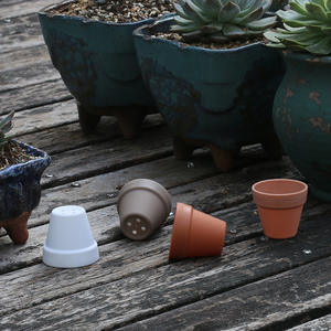 Pot à succulentes en plastique épaissi HY7, profondeur 5,4 cm, pour semis de <span class=keywords><strong>Lithops</strong></span>, cactus et Conophytum, idéal pour la plantation en pépinière - Product Image 4