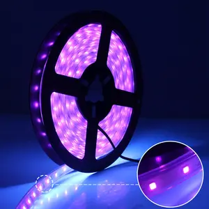 5M 60W Cahaya UV Hitam Terang LED Strip Tahan Air IP65 Blacklight Malam LED UV String Cahaya untuk Pesta