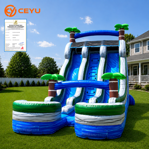 Ceyu Toboggan <span class=keywords><strong>aquatique</strong></span> gonflable portable de haute qualité, double piste, de qualité industrielle, motif cocotier tropical, personnalisable pour la location - Product Image 1