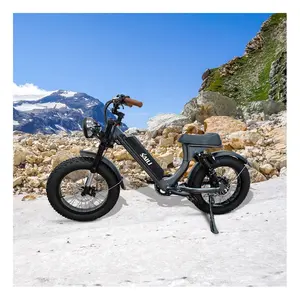 Vélo électrique ebike rétro avec moteur de moyeu arrière, 500w, 48v, pour Dirt Bike Sur le Vietnam, roue israélienne