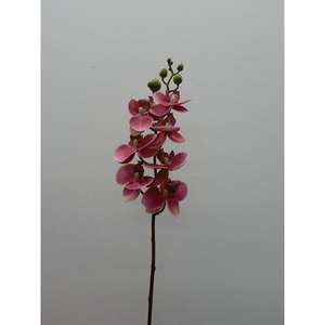 PHALENO MINI SPRAY X7 LL AUT - Product Image 1