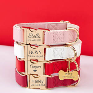 ชุดสายจูงสุนัขสีแดง + กุหลาบ + ชมพู, หัวเข็มขัดโลหะสลักชื่อ + แท็กชื่อสัตว์เลี้ยงฟรีของขวัญสำหรับลูกสุนัขในงานแต่งงาน - Product Image 1