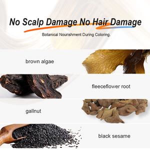 ShiSuiShi Crema Colorante Permanente Premium - Formula Senza 8 Ingredienti Nocivi, 12 Tonalità di Tendenza, Nutrimento Botanico, Copre i <span class=keywords><strong>Capelli</strong></span> Grigi, OEM/ODM - Product Image 3