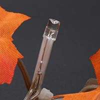 Guirlande lumineuse LED Pafu en forme de feuilles d'érable, étanche, pour l'automne, décoration intérieure et extérieure pour Thanksgiving et Halloween