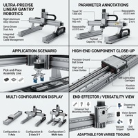 Robot linéaire CNC robuste à portique XYZ avec plateforme à crémaillère et servomoteur pour ligne d'assemblage de préhension et de placement