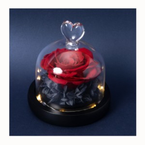 Roses éternelles de haute qualité sous dôme de verre, fleur préservée, plante immortelle, <span class=keywords><strong>la</strong></span> <span class=keywords><strong>belle</strong></span> <span class=keywords><strong>et</strong></span> <span class=keywords><strong>la</strong></span> bête, pour un cadeau de noël - Product Image 5