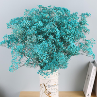Fleurs séchées de gypsophile de haute qualité, fleurs pressées naturelles, branches de gypsophile naturelles pour la maison Décoration de mariage