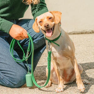 ペットハーネス,ソフト犬の鎖とベルトセット,おしゃれでカラフルなデザインの在庫防水 - Product Image 5