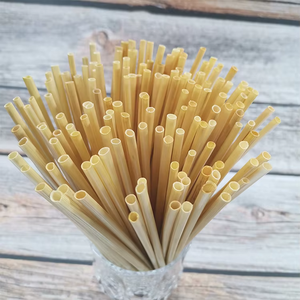 Vente en gros emballage personnalisé bagasse PLA <span class=keywords><strong>d</strong></span>égradable avec logo paille en papier fibre de bambou pour la maison, la fête ou le <span class=keywords><strong>camping</strong></span> et thé à bulles - Product Image 4