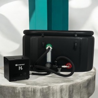 Baignoire à glace portable pour athlètes avec refroidisseur d'eau 1/2HP, compresseur Sanyo et pompe à aubes, piscine de cryothérapie 300L pour la remise en forme en extérieur