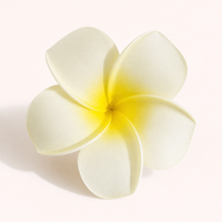 Fleurs artificielles réalistes en mousse PE Plumeria pour accessoires de cheveux de mariée, fournitures de bricolage, coiffure florale