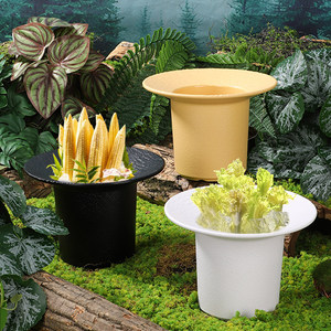 Wild and rustic style trendy hot pot tableware, beautiful vegetable <b>plates</b>, purple baby bok choy, yam, corn, bamboo shoots, - Product Image 3