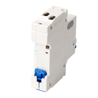 Disjoncteur miniature Chint NXB-40 6A 10A 16A 20A 25A 32A 40A DPN 1P+N 50HZ Courbe C D 4500A 4.5KA 4kV