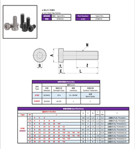 ZCBSST 전문 사용자 정의 크기 스테인레스 스틸 육각 드라이브 소켓 낮은 헤드 캡 나사 - Product Image 2