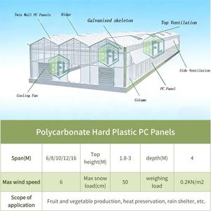 โรงเรือนเพาะปลูกแบบแผ่นพลาสติกชีวภาพขนาดใหญ่ โครงสร้างเหล็ก ควบคุมสภาพอากาศได้ เหมาะสำหรับการปลูก<span class=keywords><strong>มะเขือเทศ</strong></span>แบบไฮโดรโปนิกส์ - Product Image 2