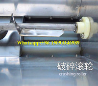 Machine automatique de brisage et de dénoyautage des raisins / Machine de retrait des tiges de raisin / Séparateur de tiges de raisin pour la vinification