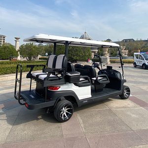 Voiture de <span class=keywords><strong>golf</strong></span> électrique ZYCAR, cadre en aluminium multifonctionnel, suspension indépendante, avec compteur <span class=keywords><strong>professionnel</strong></span> - Product Image 5