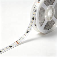 Tira de LED RGBW Programable de 16 bits, 12V 24V |   UCS2904 UCS8904 TM1814 |   Cinta LED Flexible 5050, 60/72/96 LEDs/m Opcionales
