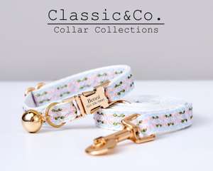 Conjunto de Collar y Correa Personalizados para Mascotas con Diseño Tribal, Hebilla Metálica Grabada y Placa de Identificación Dorada Gratis - Product Image 2